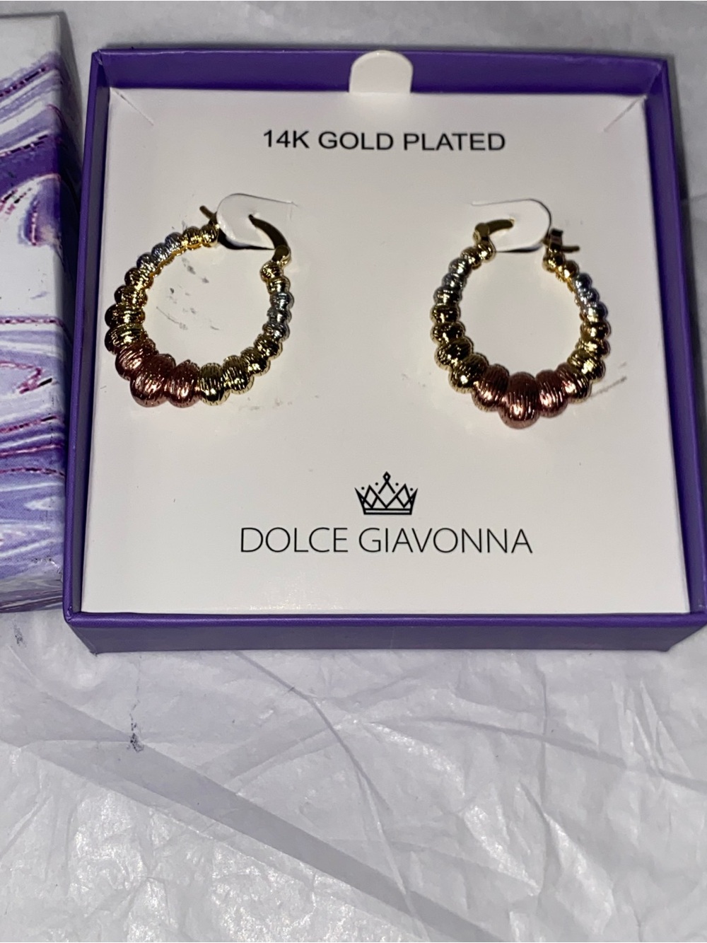 Dolce Giavonna 14K Gold Plated Hoop Earrings
